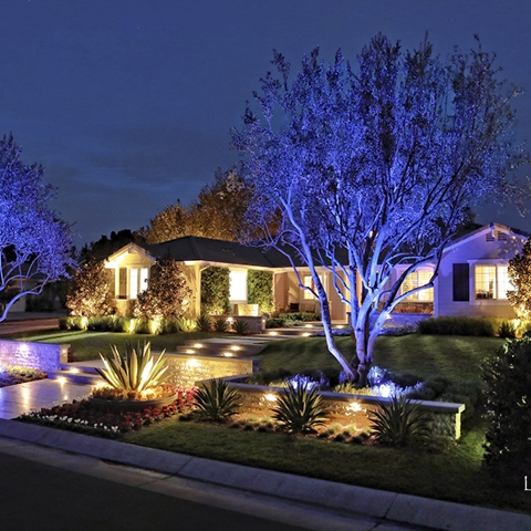 Landscape Lighting Photo